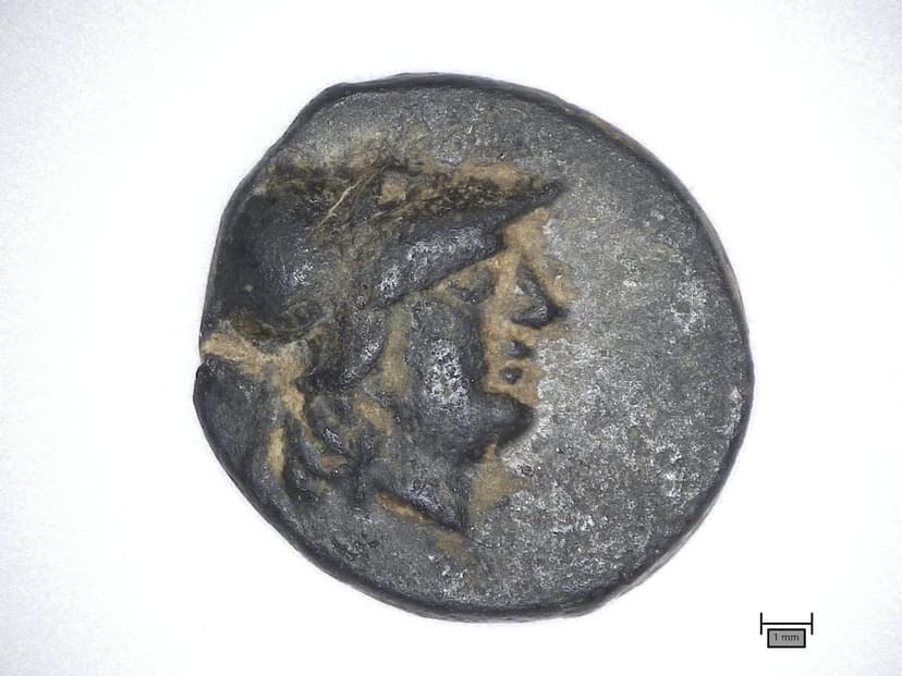 Teen Finds Ancient Greek Coin in Berlin Field