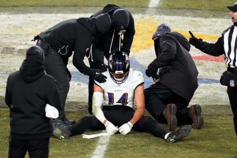 Hamilton Down: Ravens Safety Out With Concussion