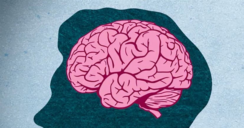Cut Dementia Risk: New Tool Reveals Habits