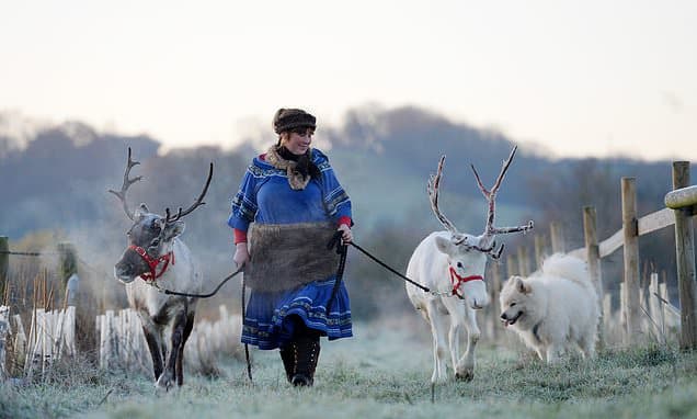Farmer May Cull Reindeer Over Zoo License Law