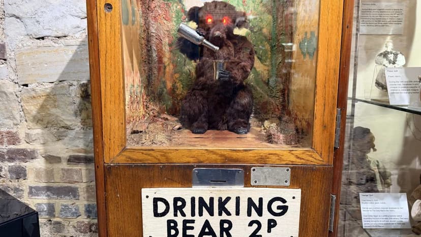 Restored 'Drinking Bear' Returns to Toy Museum