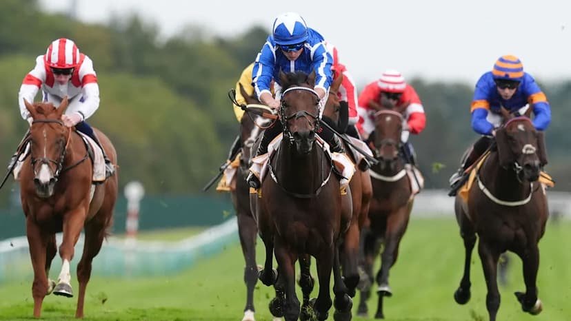 The Reverend's Hurdles Debut Hinges on Final Schooling Session