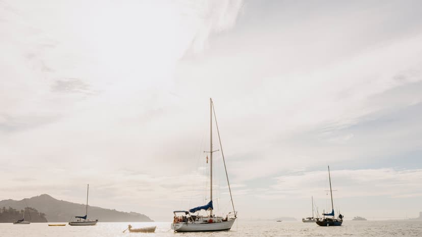 Last Boat Dwellers Evicted from Bay Refuge