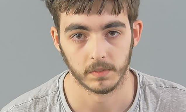 Groomer Jailed for Roblox Exploitation