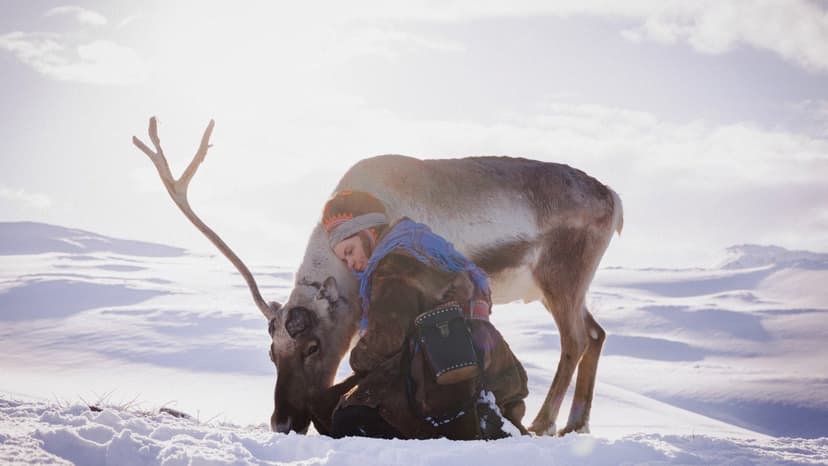 Arctic Mining Threatens Sámi Heritage