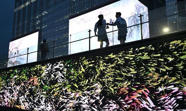 Seoul Dims Digital Glow to Soothe Glaring Eyes