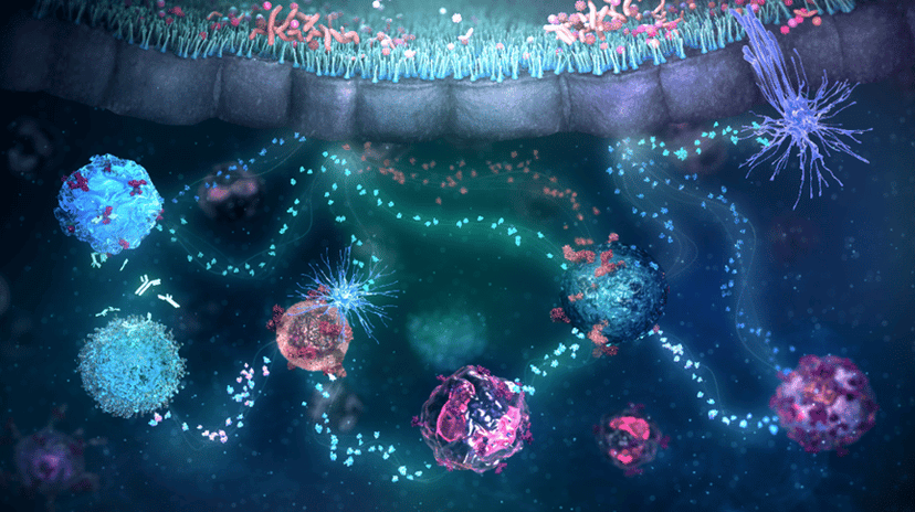 Severe Asthma Care: Time for Urgency