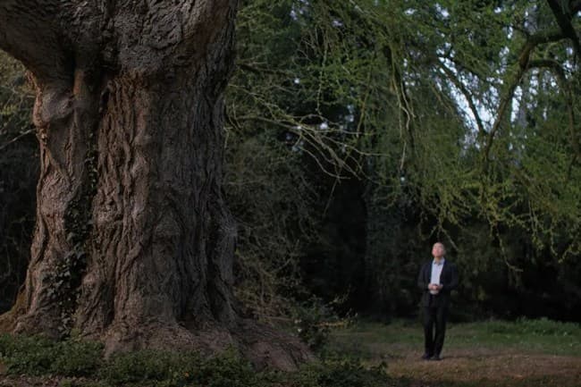 SFFILM Grants Fuel Science in Cinema