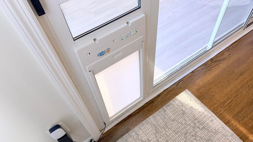 Smart Dog Door Grants Pet Freedom, Owner Relief