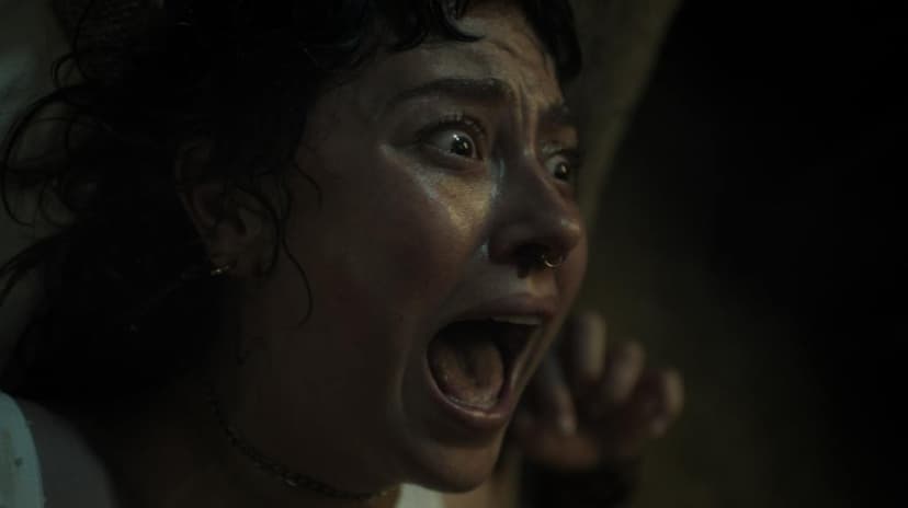 Pregnant Woman's Nightmare Dinner Party Turns Bloody