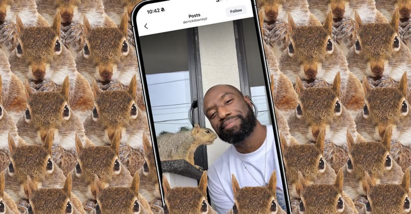 Squirrel Fan's App Tops Charts Overnight
