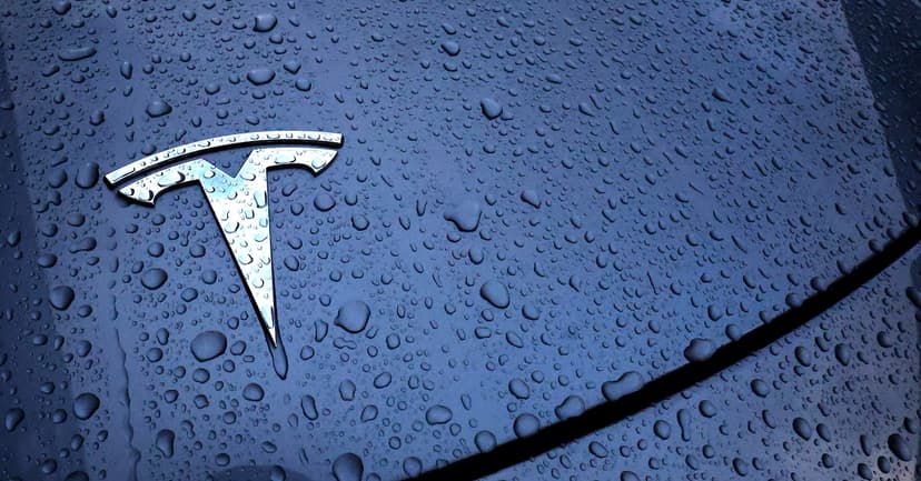 Tesla's New Tiny EV: Cheaper, Shorter SUV Incoming?