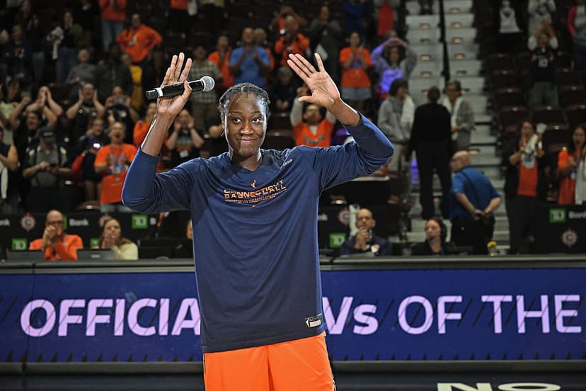 Tina Charles' No. 31 to Hang in Sun Rafters