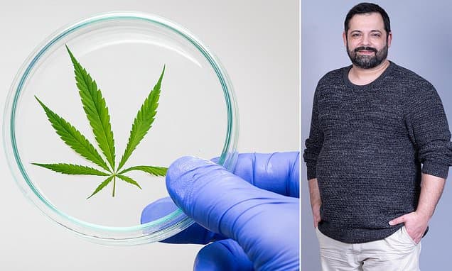 Cannabis Haze: UK Faces Mental Health Crisis?