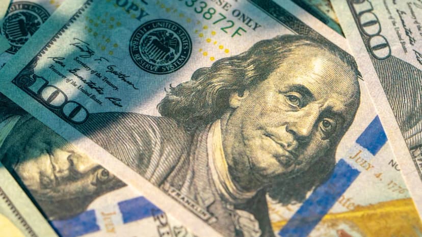 US Investors Ditch Stocks for Cash
