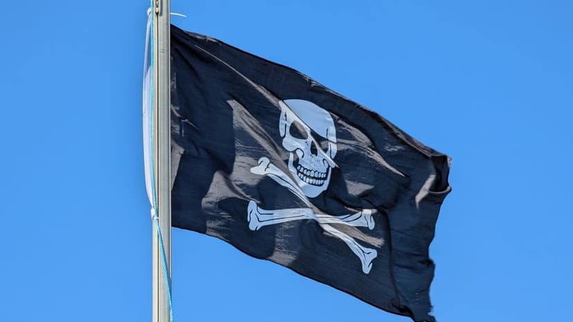 US Seizes EU's Top Piracy Websites