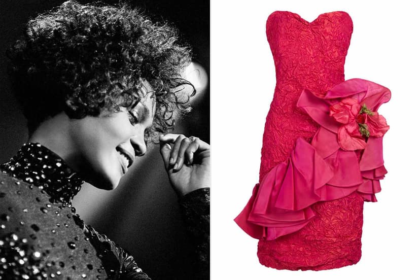 Whitney Houston Auction: Iconic Items Go On Sale