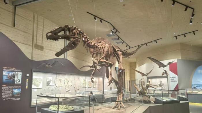 China Unearths World's First Pterosaur Museum