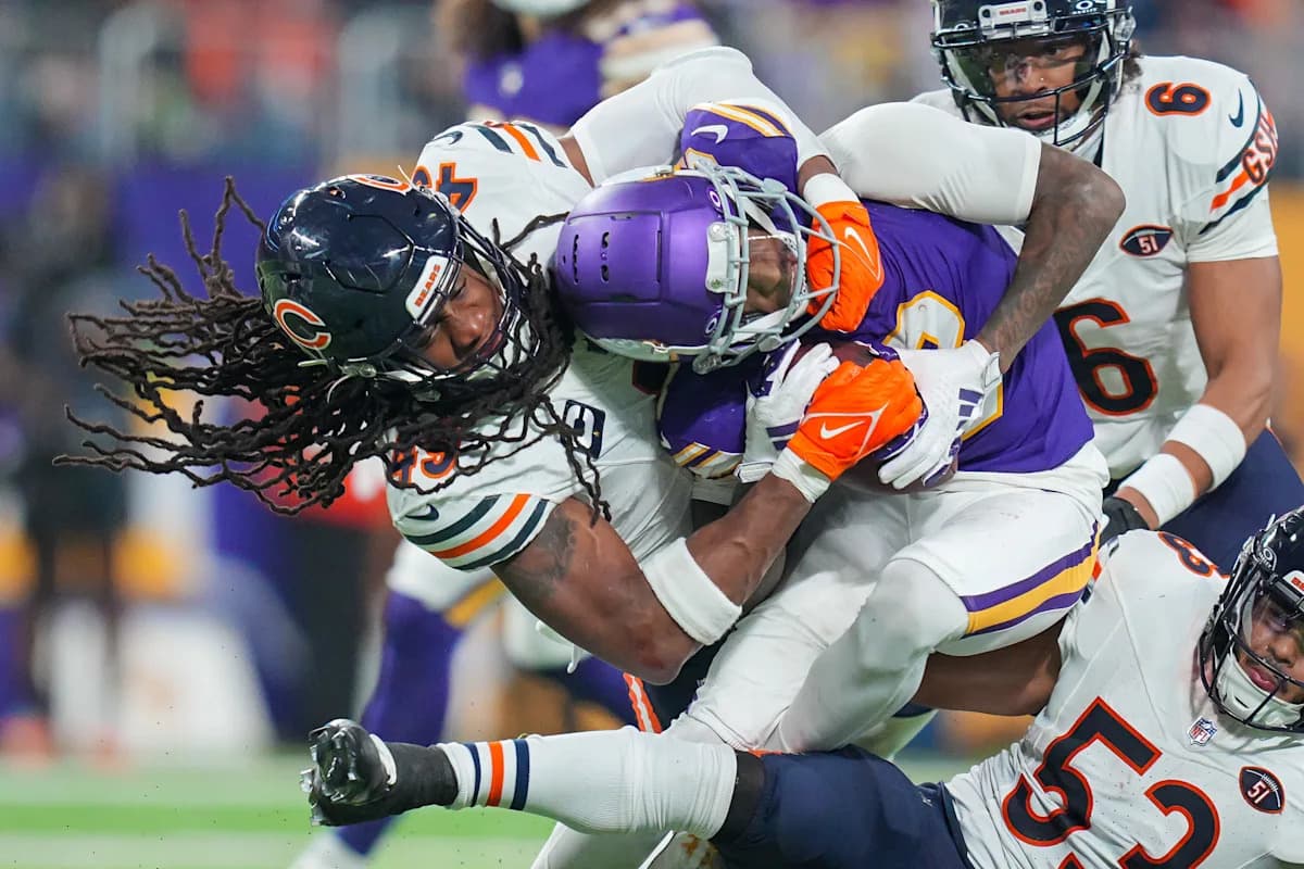 Bears Fans Invited to Share Team Spirit in Photo Showcase