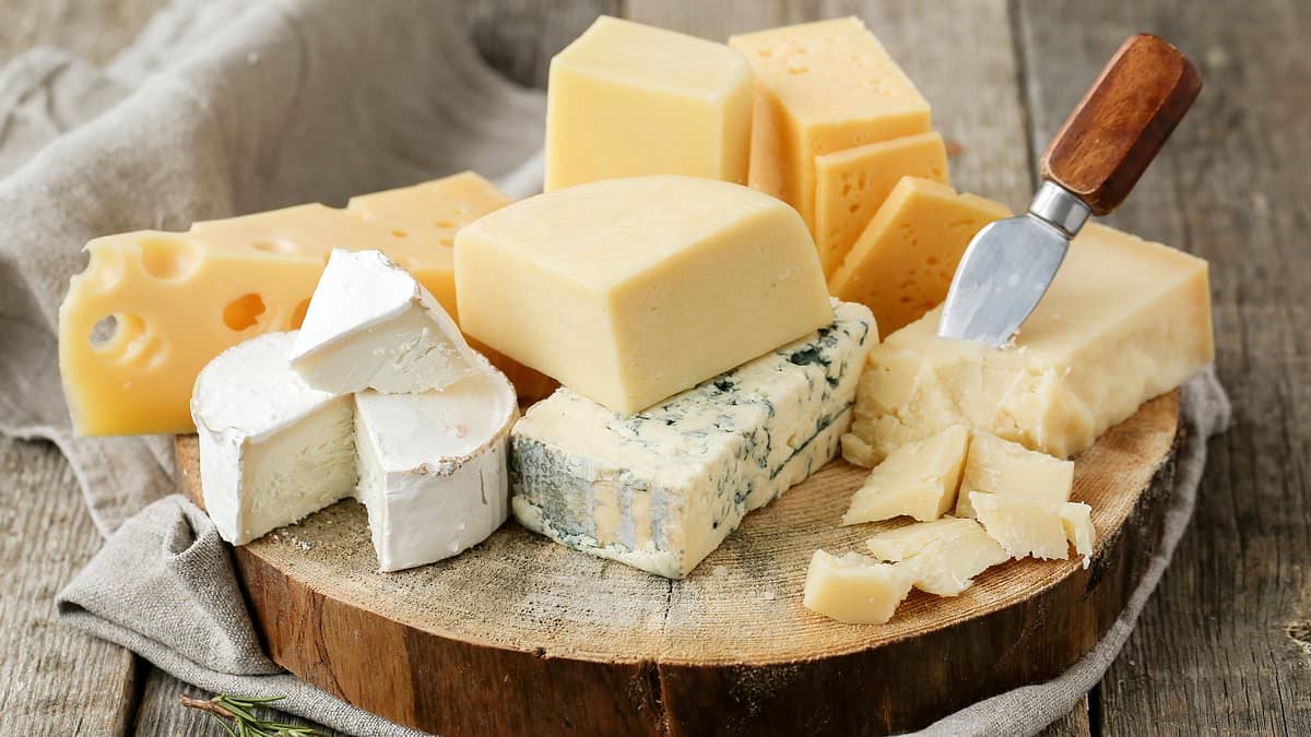 Deadly Bacteria and Rodents Prompt Urgent Cheese Recalls Across the U.S.