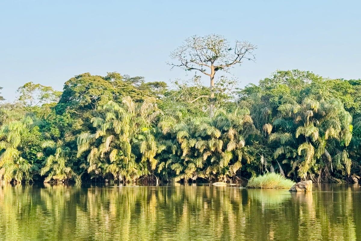 Tiwai Island in Sierra Leone Poised for Tourism Boom in 2026