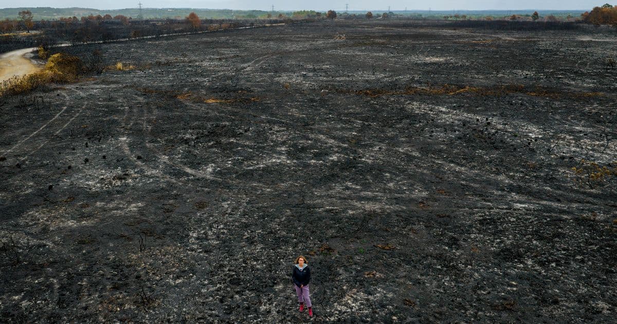 Wildfires Devastate England and Wales in Record-Breaking Year