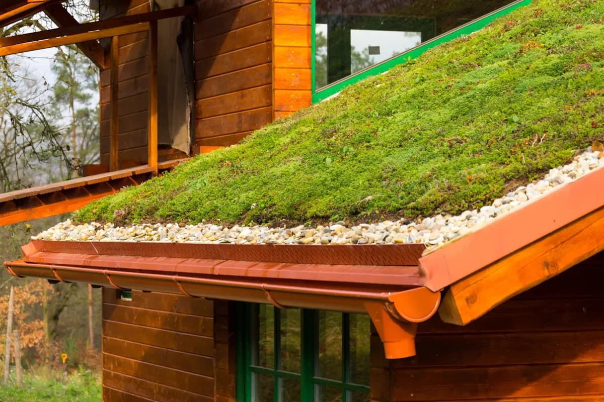 Green Roofs Prove Powerful in Trapping Microplastics from Rainwater