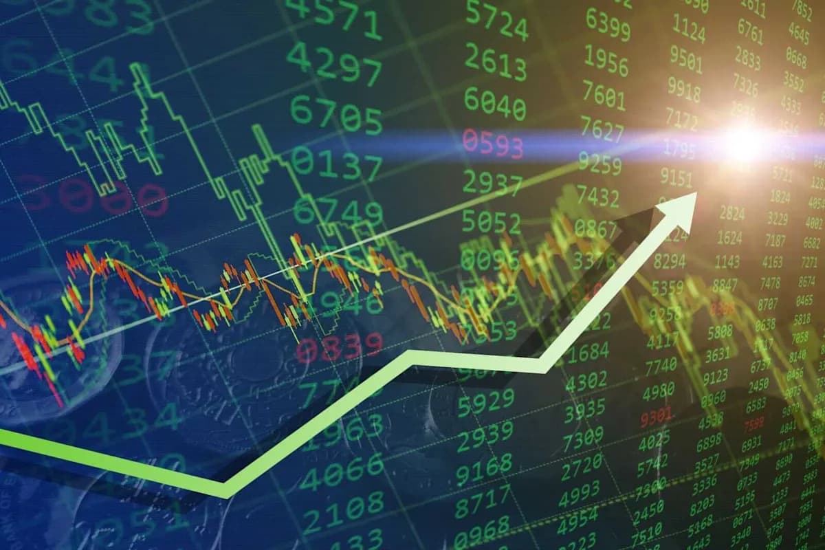 Newegg Stock Surges 3,400% Despite Weak Fundamentals