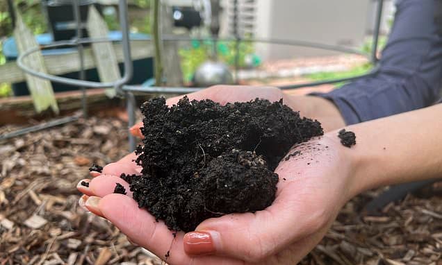 Gardening Proven to Boost Mood and Health in Latest Study