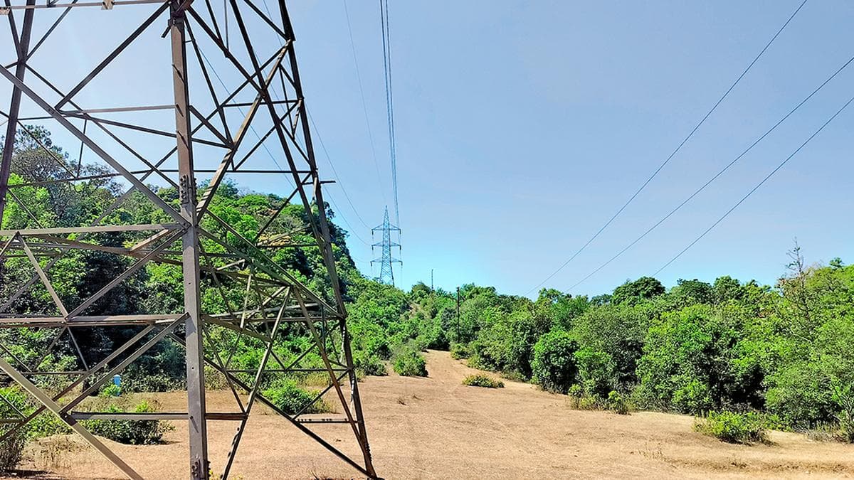 Forest Panel Defers Approval for Massive Hydropower Project in Karnataka