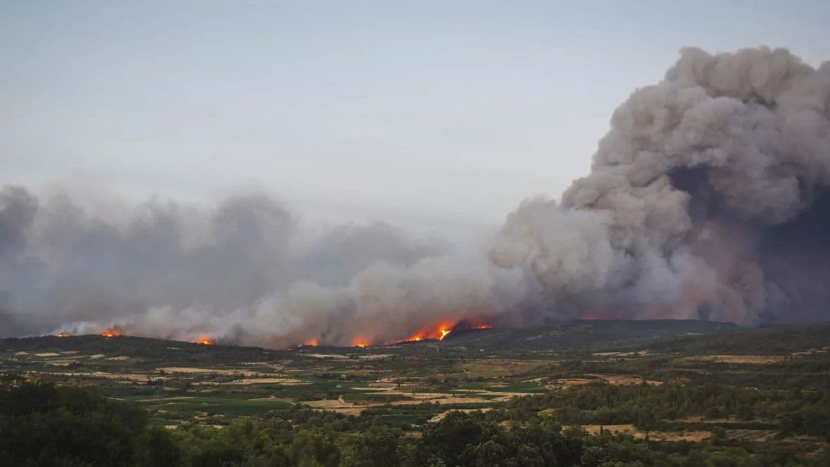 Catastrophic Wildfire Ravages Southern France, Largest Since 1949