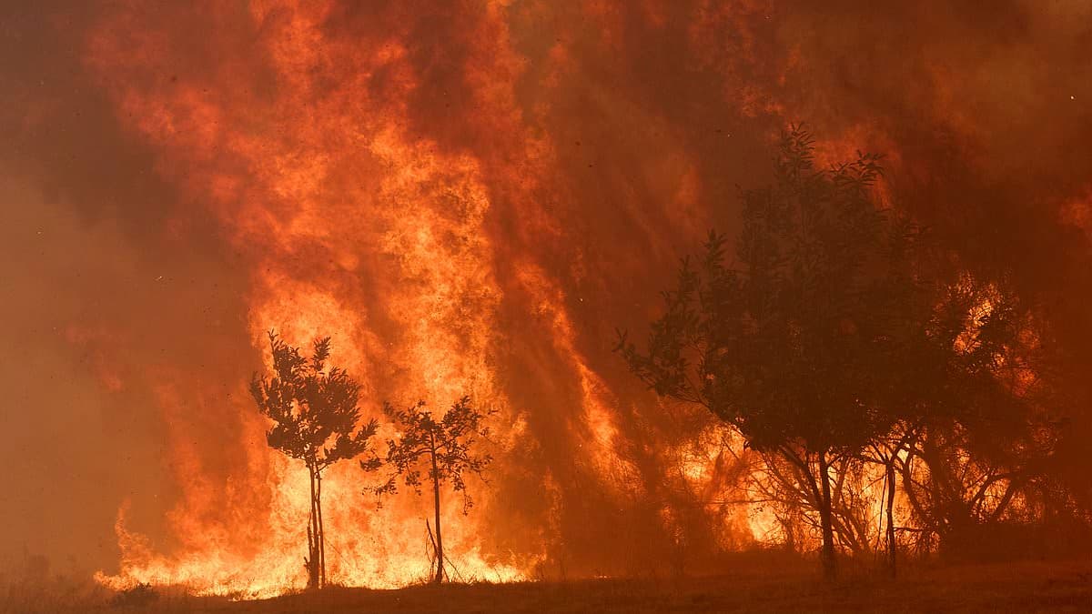 Spain Battles Unprecedented Wildfire Crisis, Thousands Evacuated