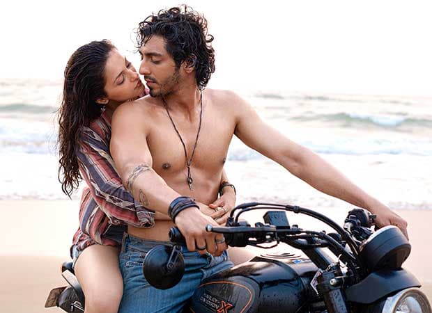 Debutante Aneet Padda Breaks Into Bollywood's Elite Rs. 200 Crore Club