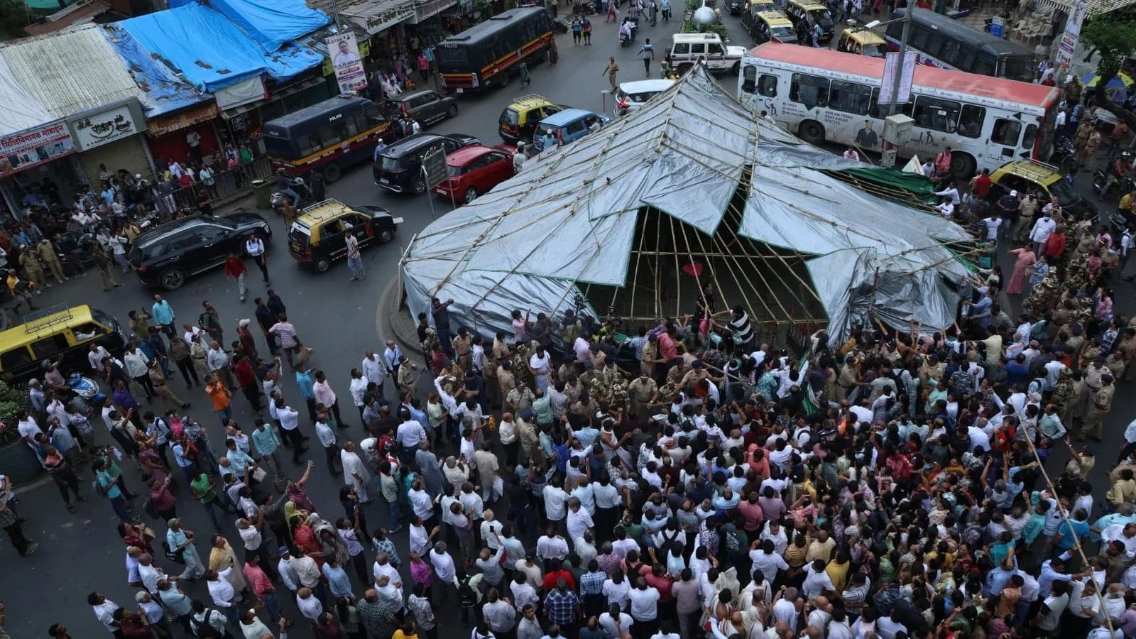 BMC Invites Citizen Feedback on Pigeon Feeding Restrictions in Mumbai