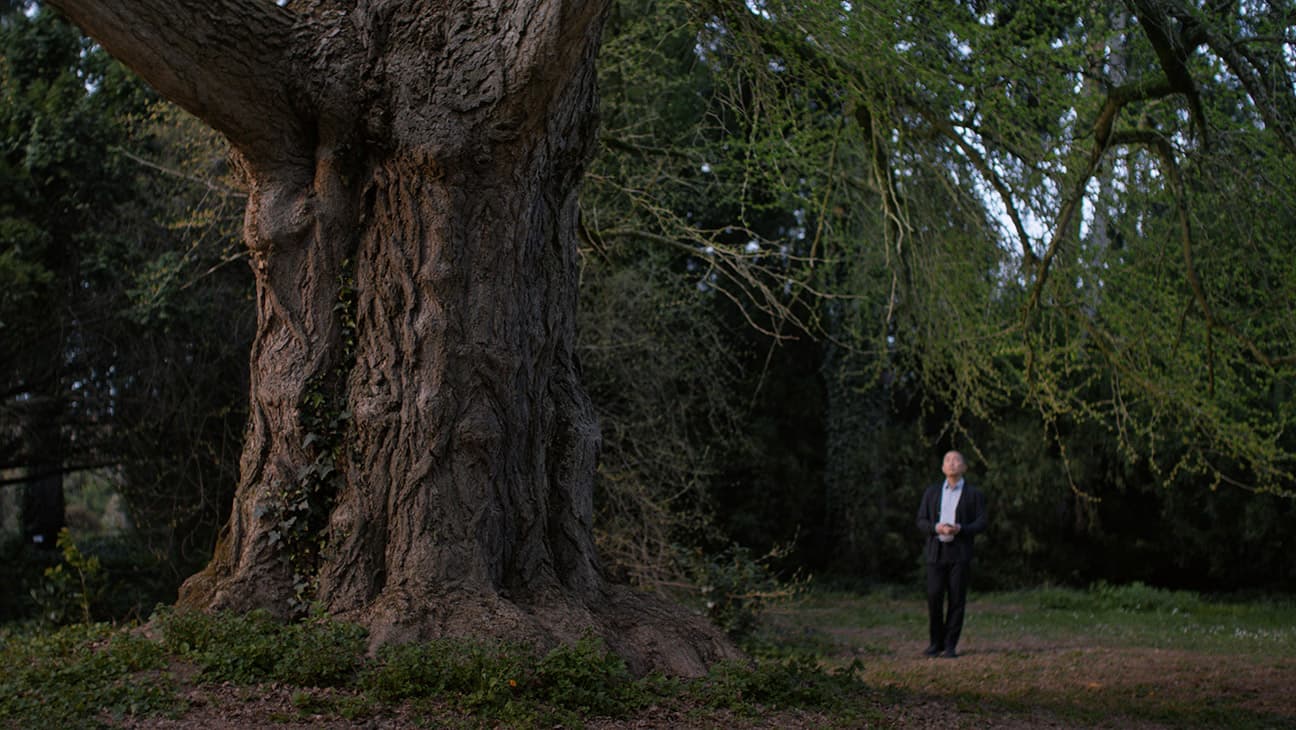 Botanists Across Centuries Explore Nature's Secrets in Enigmatic Film