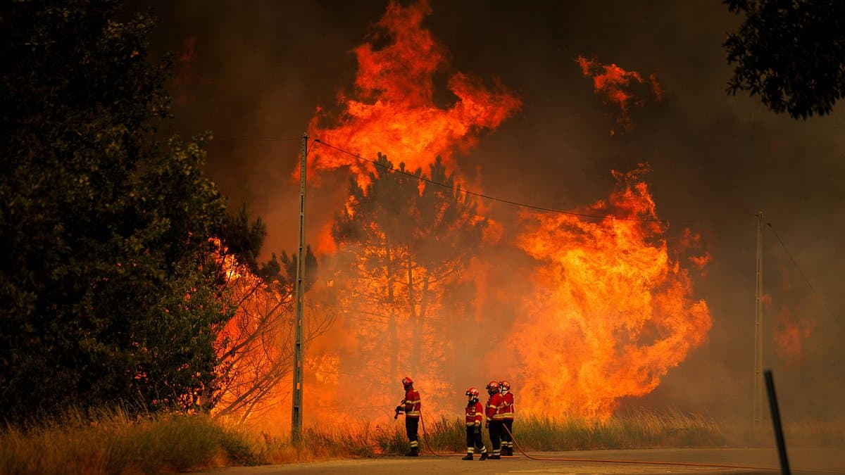 Former Portuguese Mayor Dies Battling Raging Wildfires Across Europe