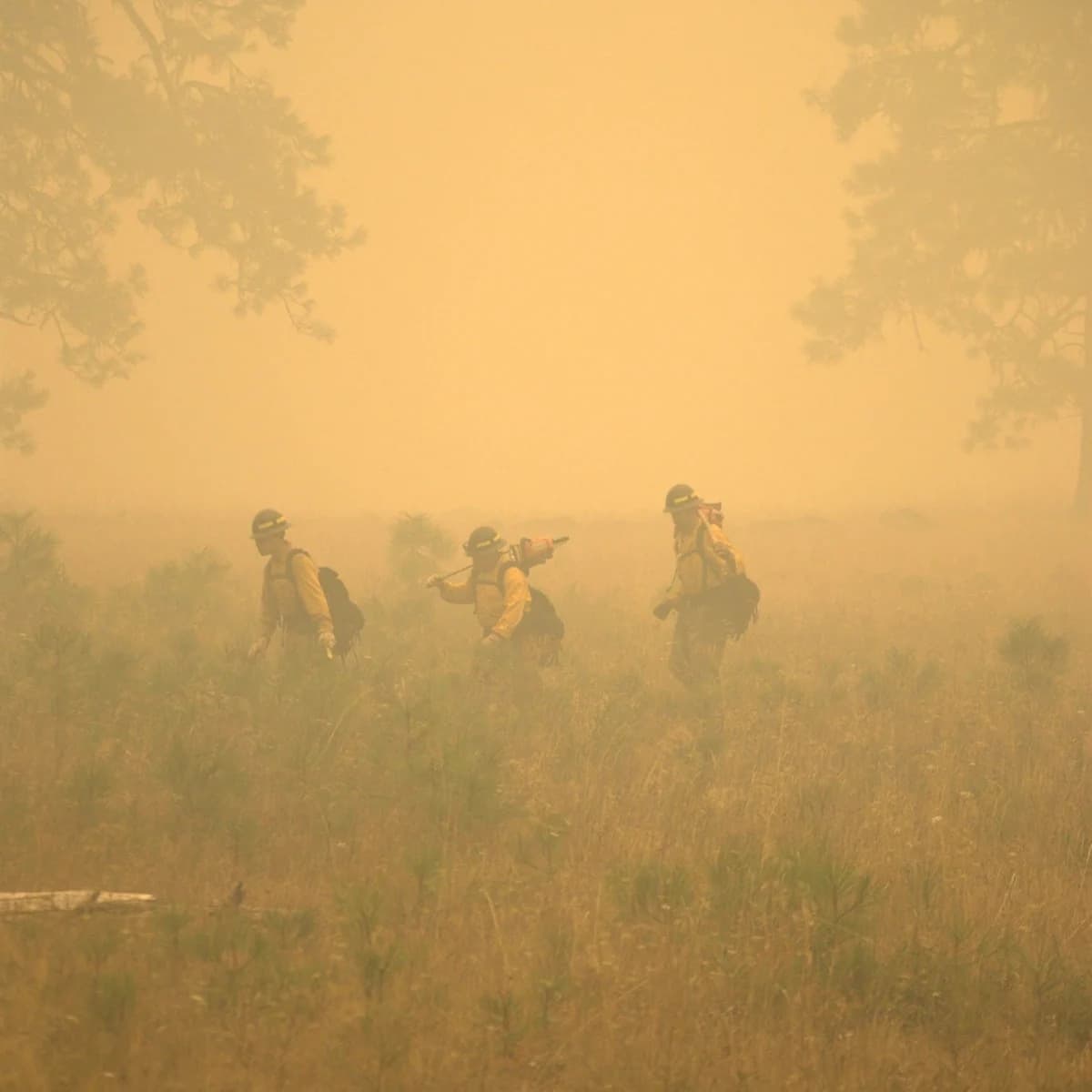 Thunderstorms Ignite Wildfires Across Oregon, Firefighters Struggle to Contain Blazes