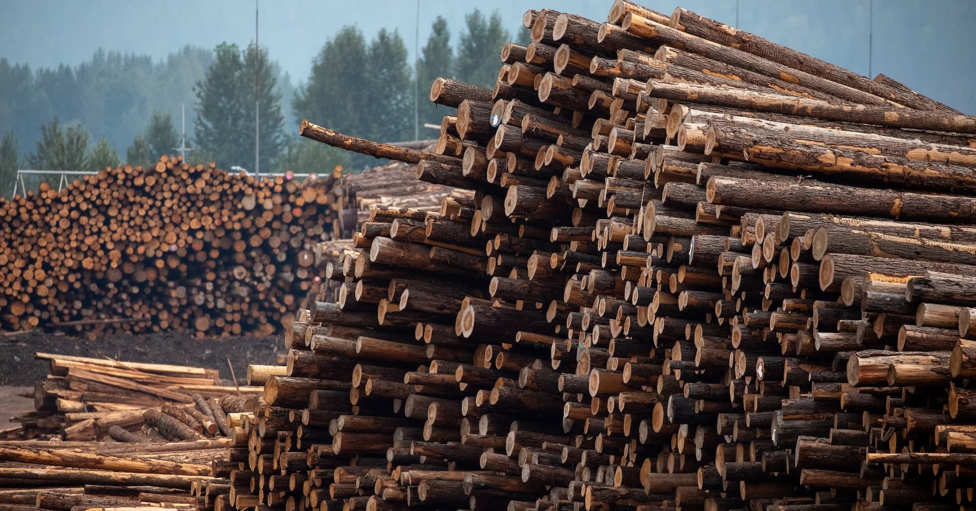 Urgent Call to Rethink Global Resource Management for Stability and Sustainability