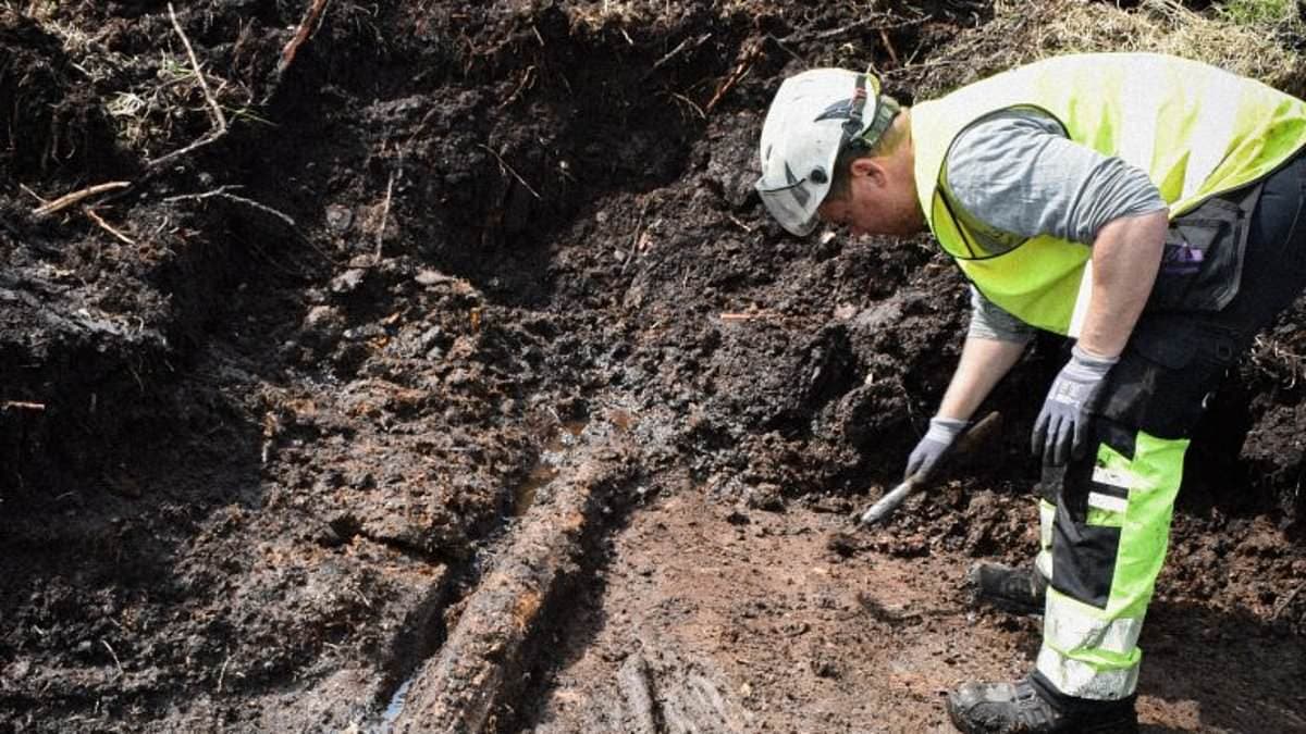 5,000-Year-Old Wooden Structures Discovered in Swedish Bog