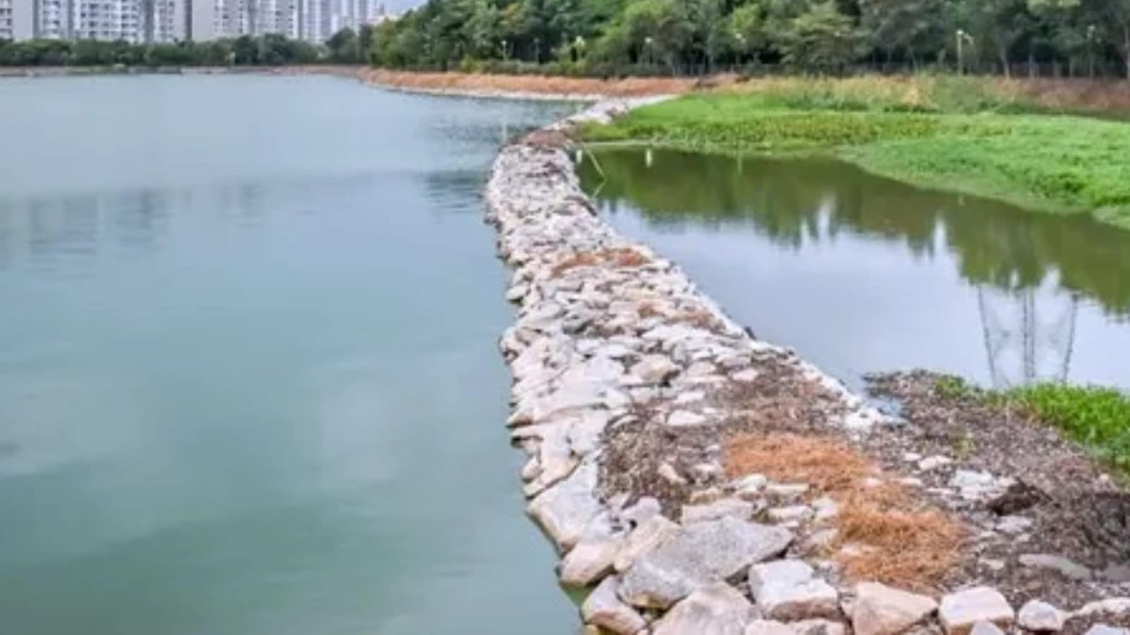 NGT Scrutinizes Karnataka's Reduced Lake Buffer Zones