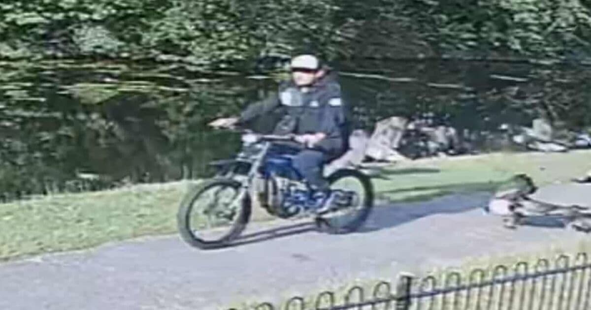 Reckless Scooter Rider Strikes Down Geese in Shocking Incident