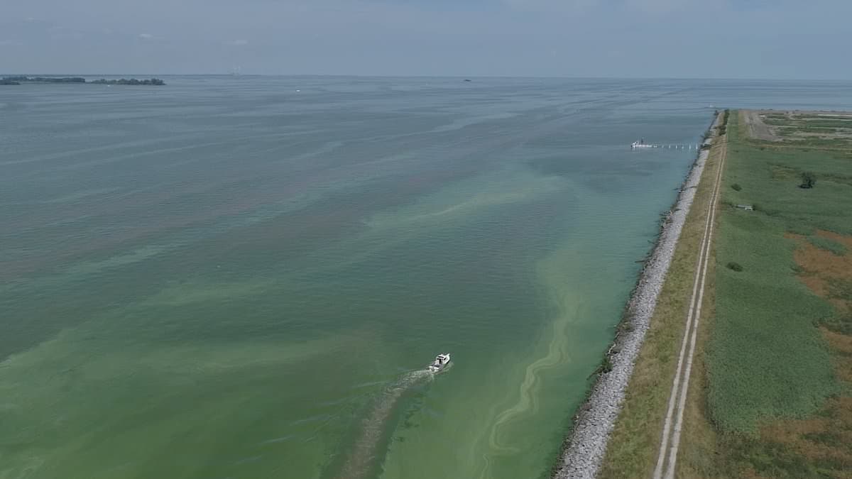Toxic Algae Bloom Sparks Warnings for Lake Erie Vacationers