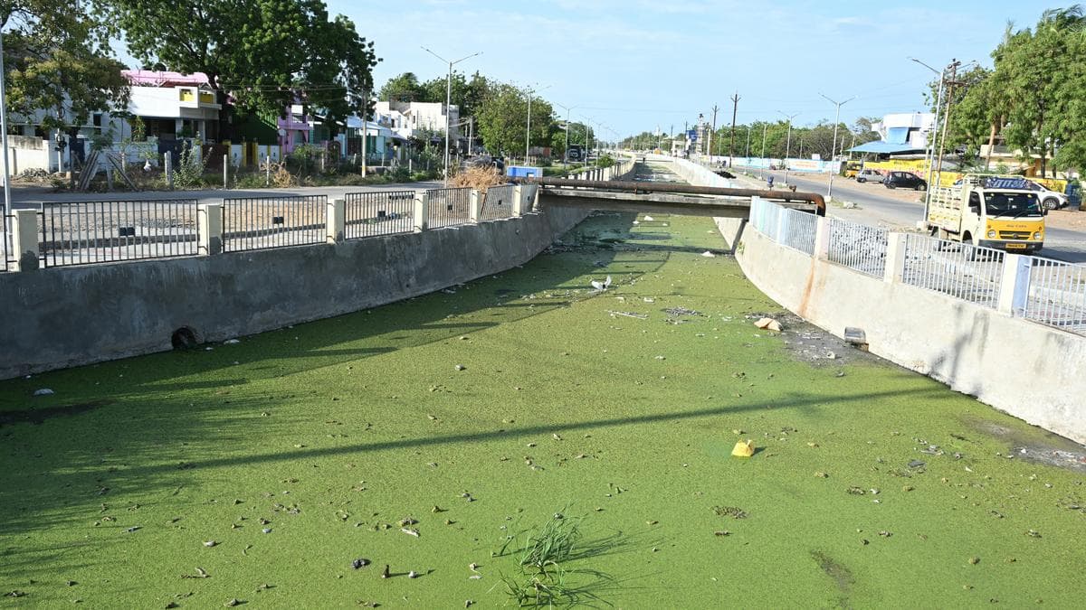 Thoothukudi Races to Clear Drainage Canal Before Monsoon Hits