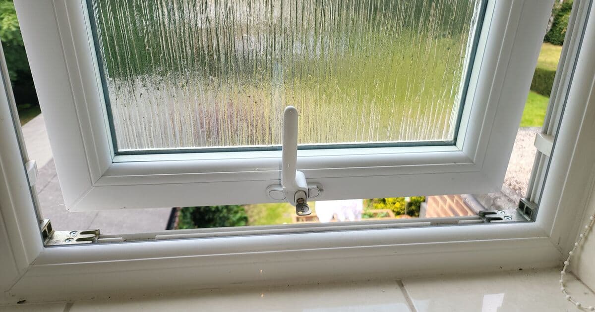 Brits Told to Seal Homes as Spider Season Begins