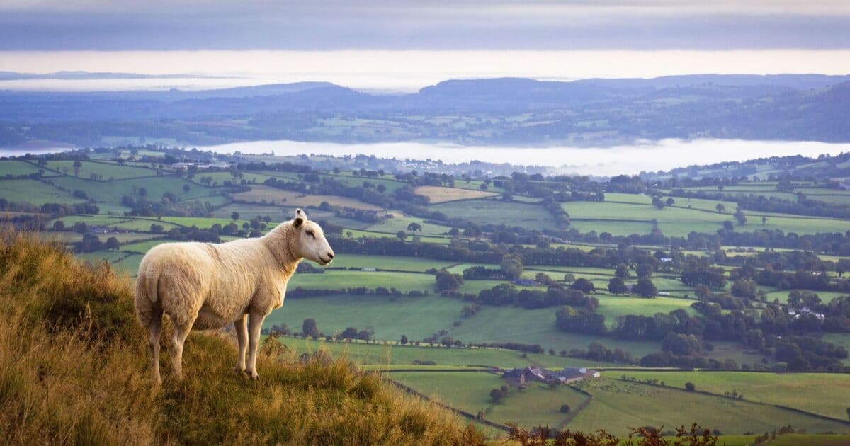 Brutal End to Summer: UK Braces for Chilly Temperatures