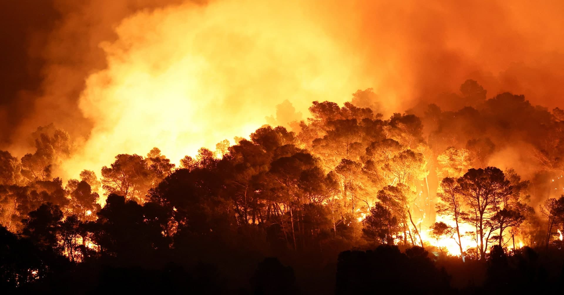 Raging Inferno Ravages Thousands of Hectares in Southern France, Forcing Evacuations
