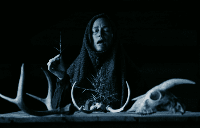 Indie Family Wins Big at Fantasia Fest 2025 with "Mother of Flies"