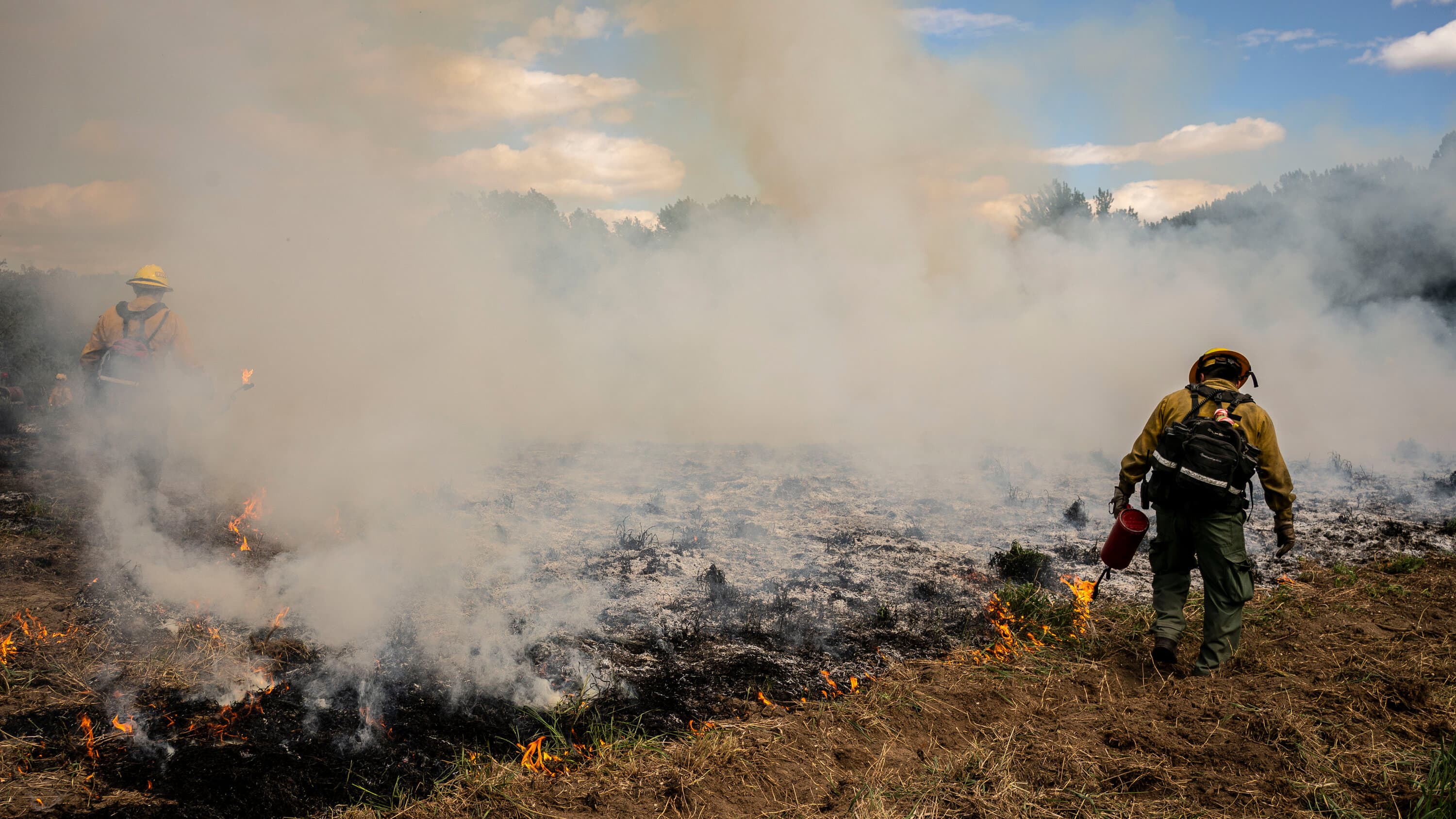 Wildfires Encroach on Iconic Pacific Northwest Rainforests as Climate Change Transforms Fire Patterns