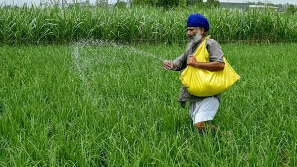China Resumes Fertilizer Exports to India, Easing Supply Crunch