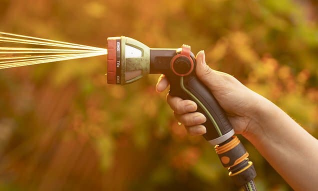 Drought Drives Hosepipe Bans Across England to Protect Rare Habitats